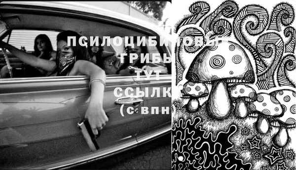 прущая мука Алексин