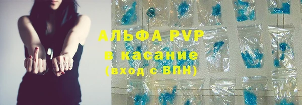 ПСИЛОЦИБИНОВЫЕ ГРИБЫ Переславль-Залесский