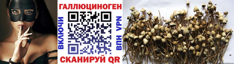 Псилоцибиновые грибы мухоморы  продажа наркотиков  Устюжна 